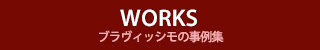 ブラヴィッシモの事例集